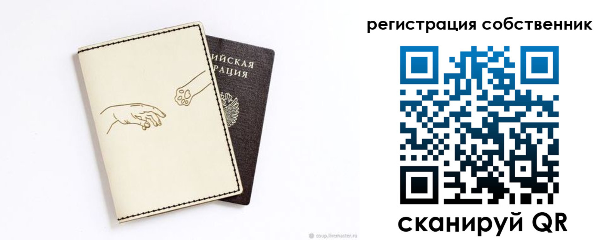 пропишу в квартире в Краснодаре